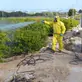 Trabalho realizado pela ARMOR Dedetizadora